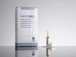 CalCemex System